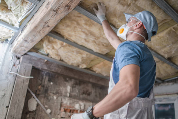 Best Professional Insulation Contractor  in Brookdale, SC