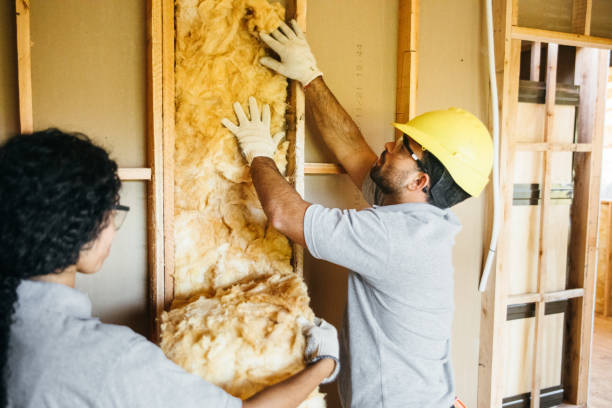 Best Fiberglass Insulation  in Brookdale, SC