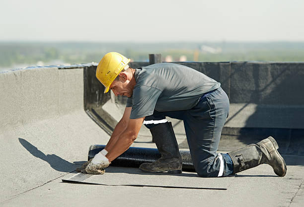 Best Home Insulation Services  in Brookdale, SC