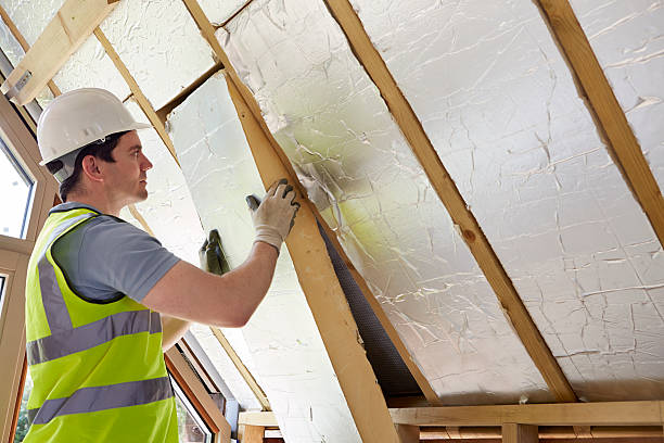 Best Insulation Contractor Near Me  in Brookdale, SC