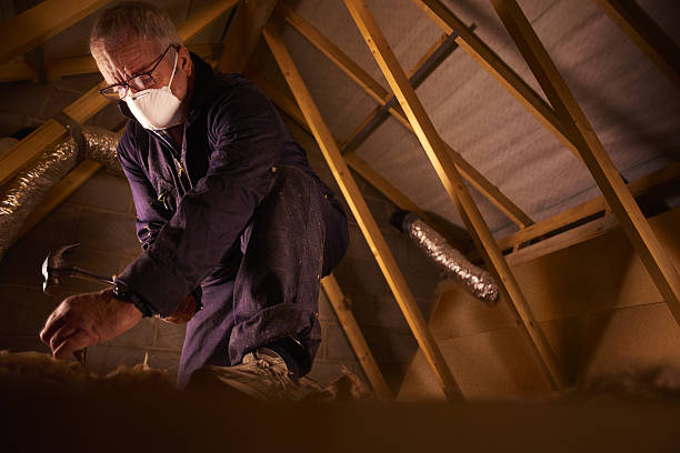 Best Residential Insulation Services  in Brookdale, SC